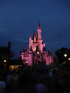 DSC00603-225x300